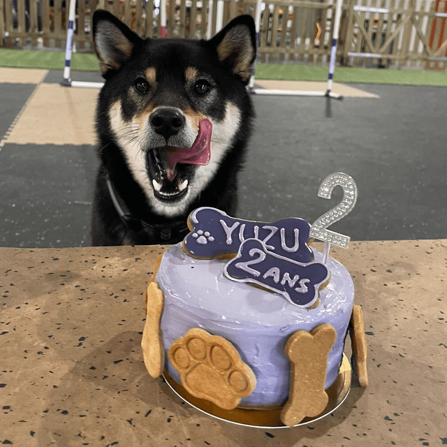 Bento cake 