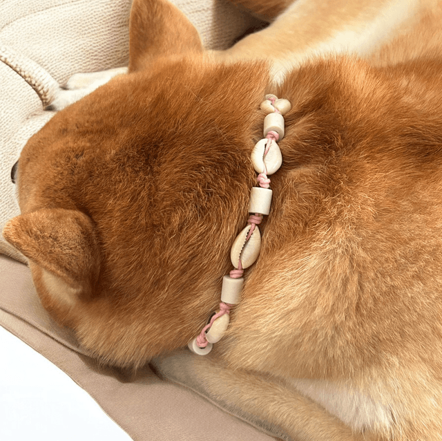 Collier anti-tiques Cauri