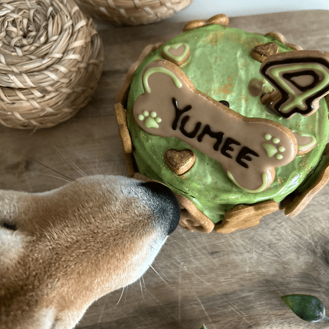 Bento cake 