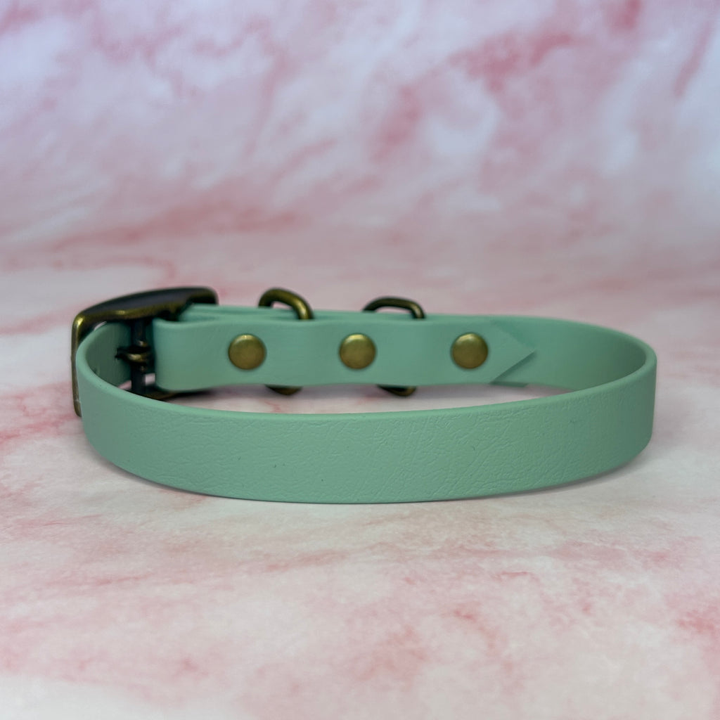 Collier chien Biothane® Vert Sauge 19mm, boucle laiton antique Pawpiette Factory fait main