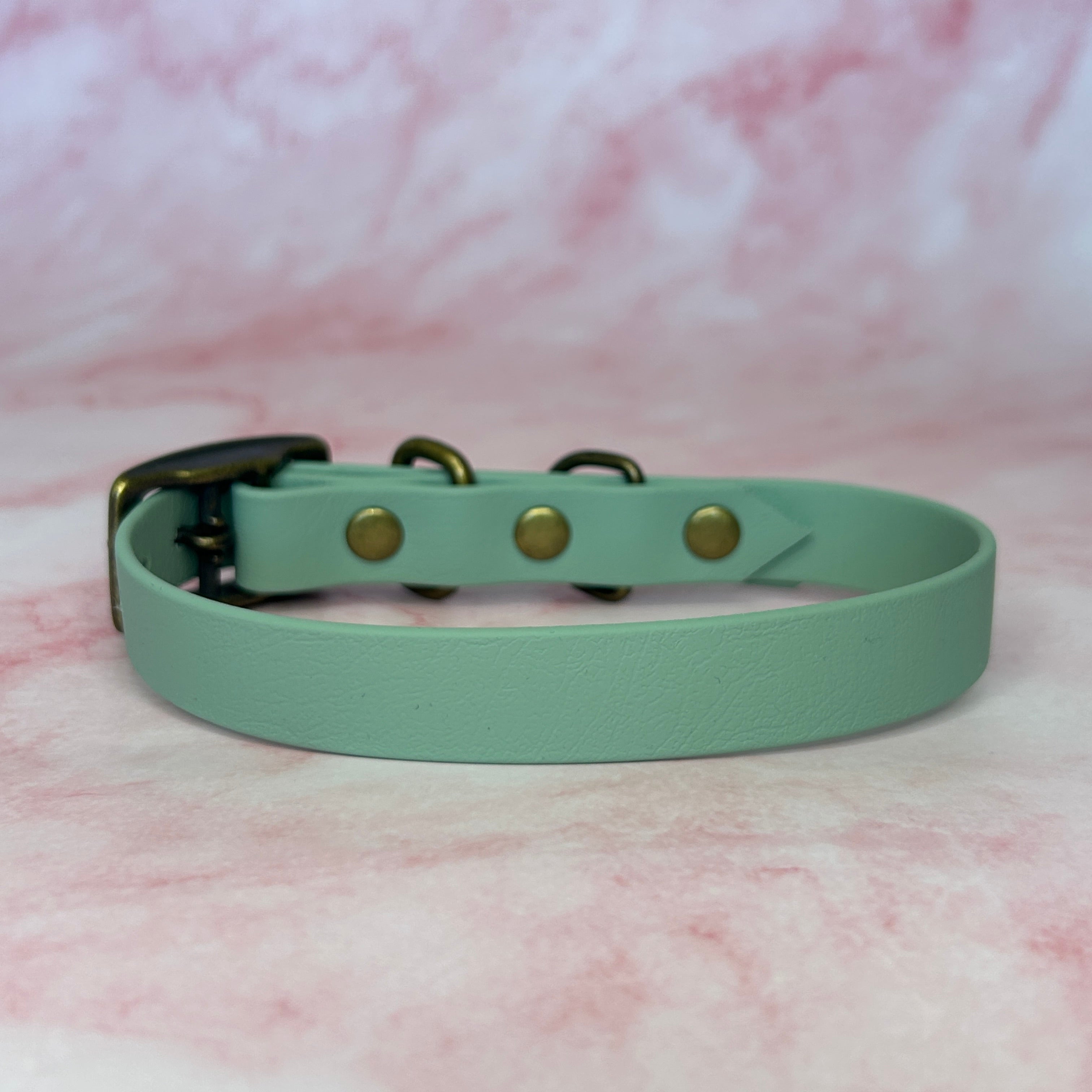 Collier chien Biothane® Vert Sauge 19mm, boucle laiton antique Pawpiette Factory fait main