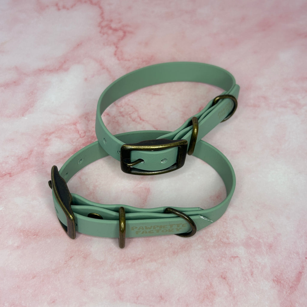 Collier chien Biothane® Vert Sauge 19mm, boucle laiton antique Pawpiette Factory fait main