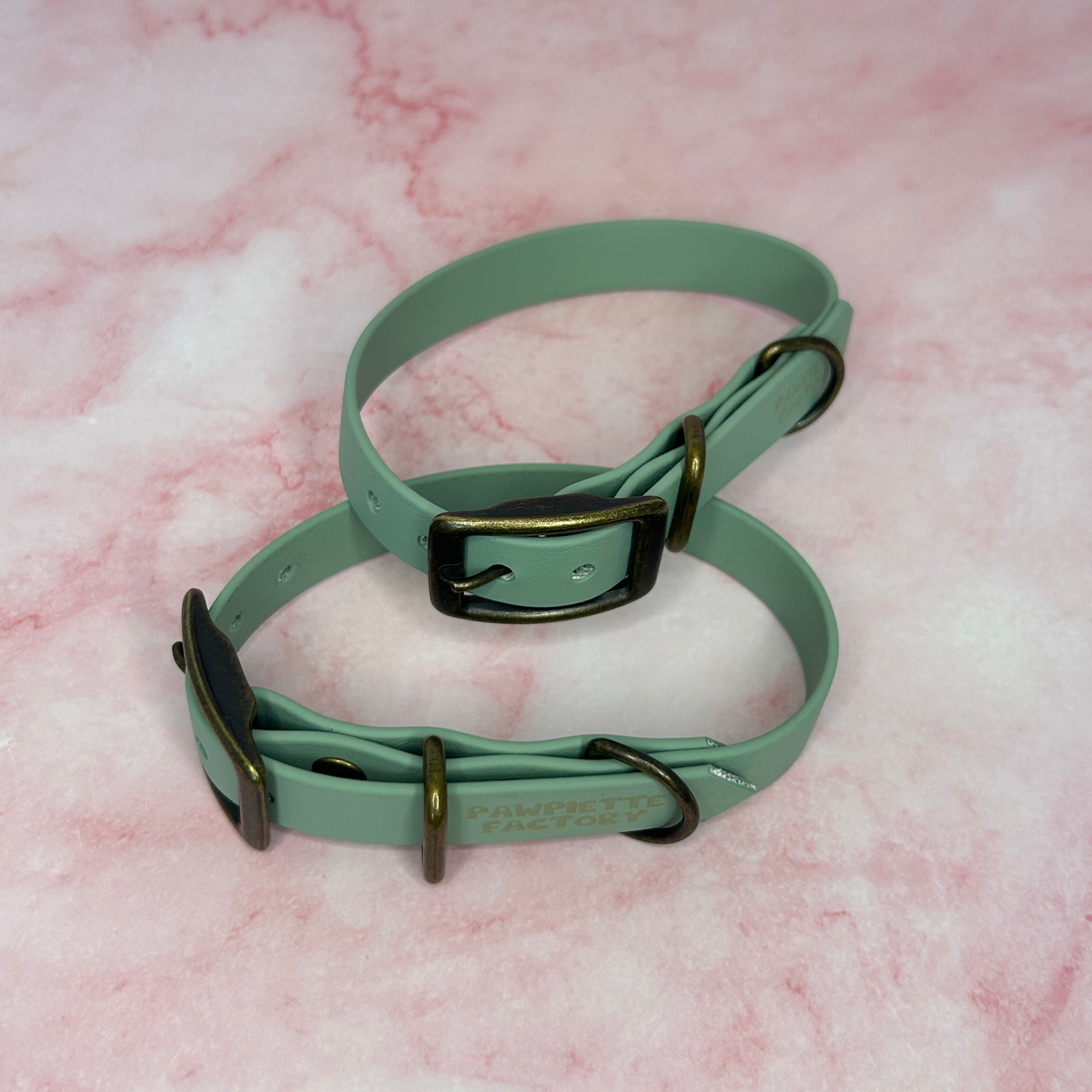 Collier chien Biothane® Vert Sauge 19mm, boucle laiton antique Pawpiette Factory fait main