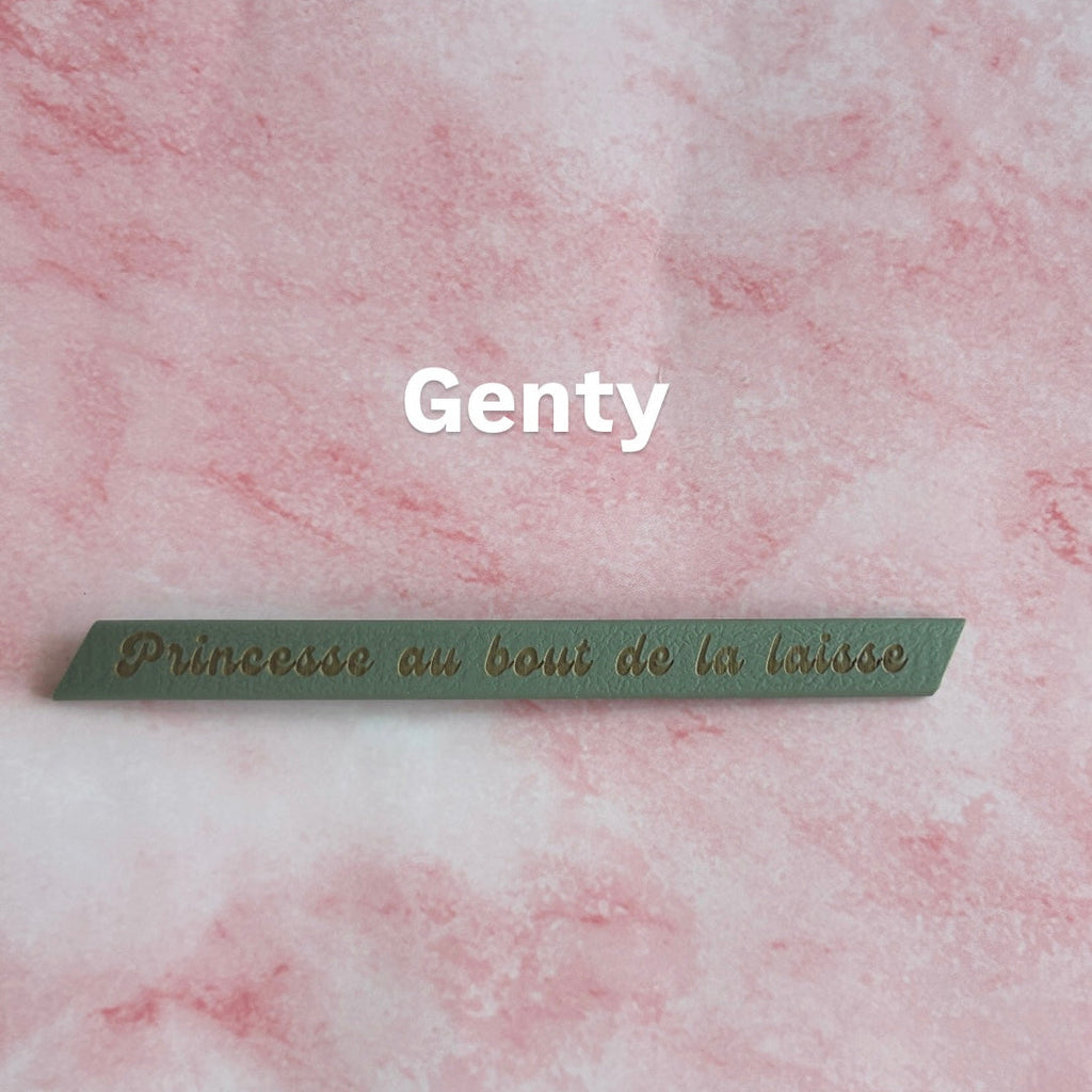 Laisse gravée pour chiens personnalisation