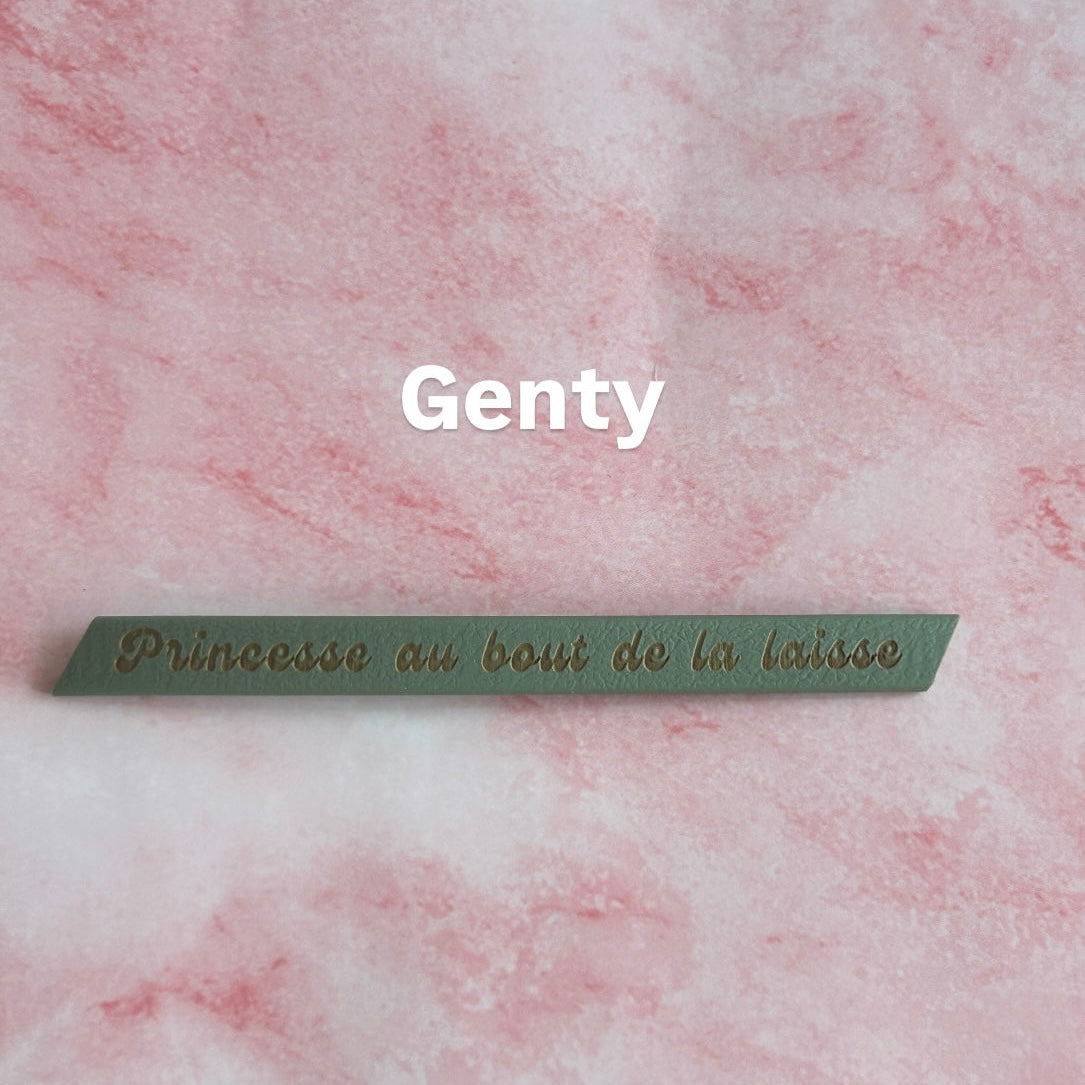 Laisse gravée pour chiens personnalisation