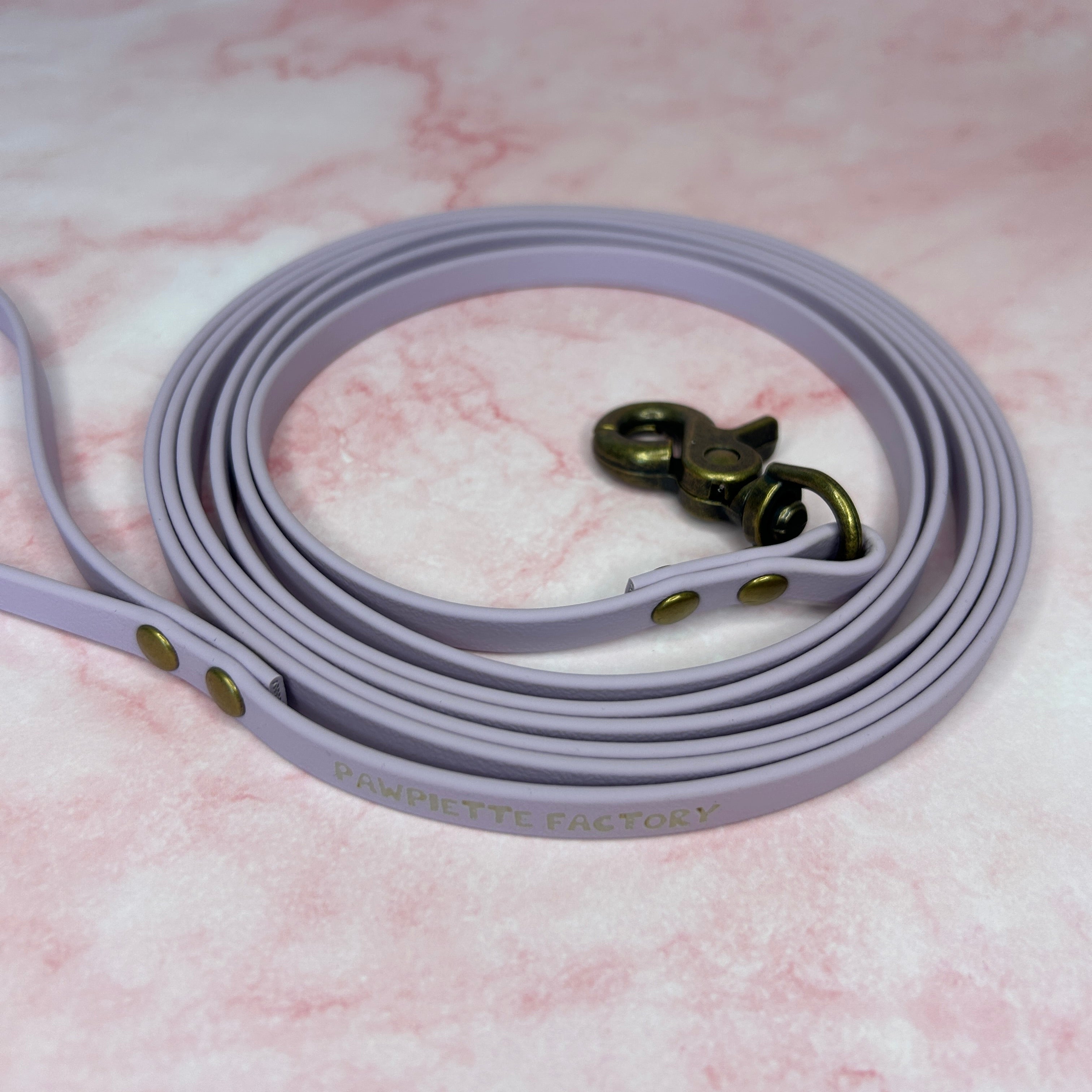 Laisse en Biothane