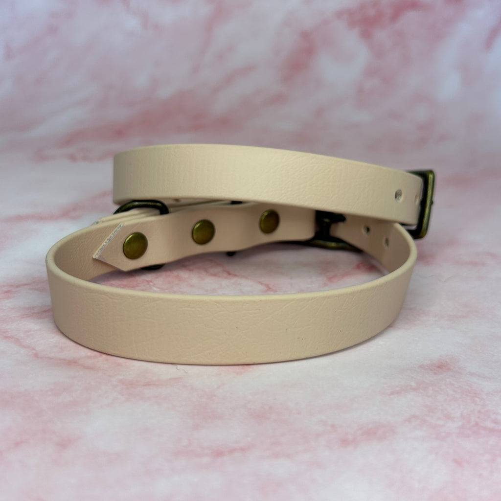 Collier chien Biothane® 19mm coloris Beige – fait main