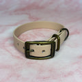 Collier chien Biothane® 19mm coloris Beige – fait main