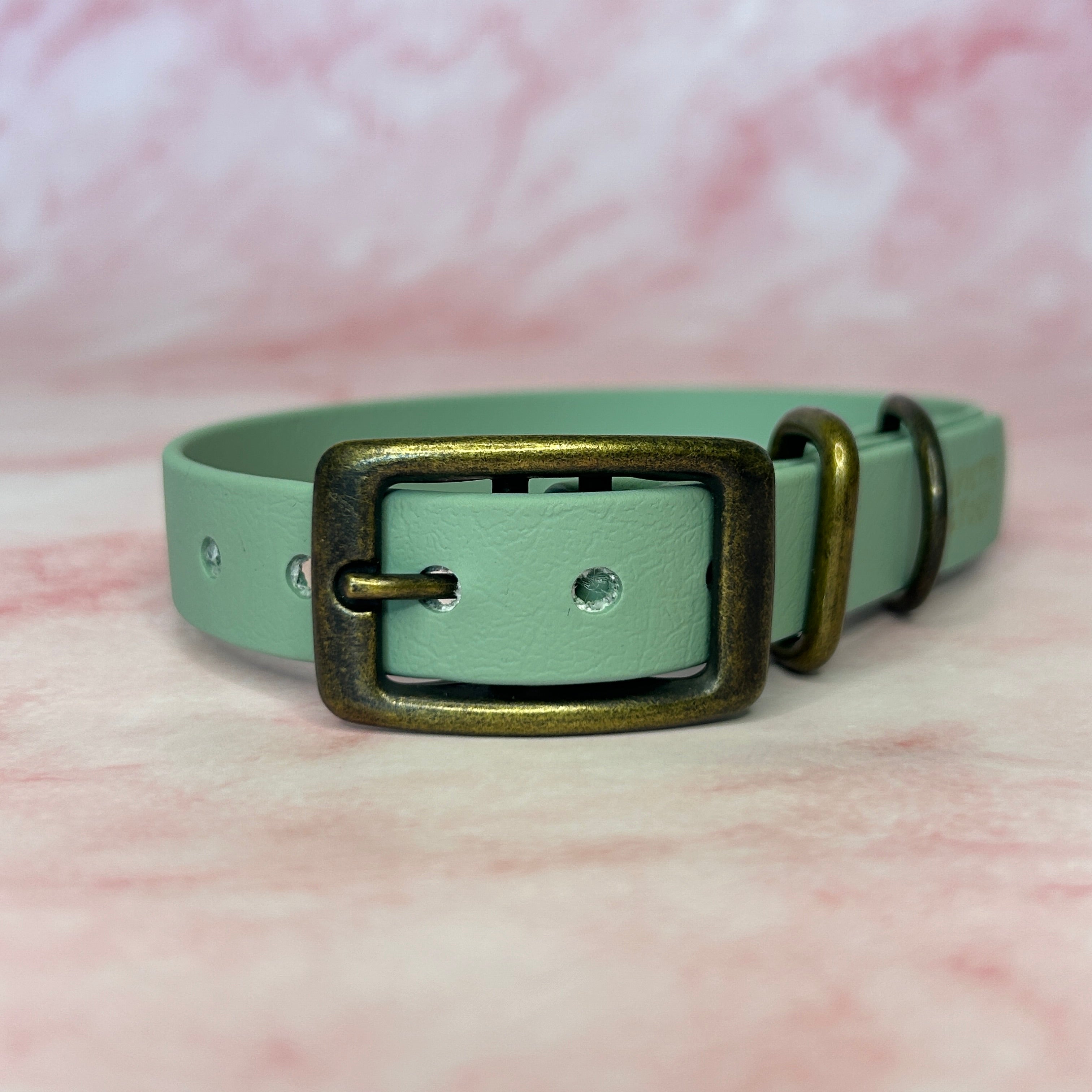 Collier chien Biothane® Vert Sauge 19mm, boucle laiton antique Pawpiette Factory fait main
